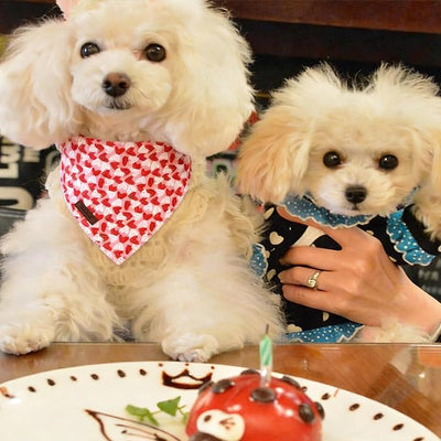 Valentines Dog Bandana - Soft Couple Heart Dog Neck Scarf, Cute Pet Bib for Medium Large Dogs, Valentine Photo Dogs Cats Prop for Daily Use Parties & Pet Photography L