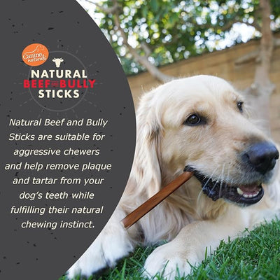 Canine Naturals | Natural Beef & Bully Sticks | 48 Count | Long-Lasting, Odor Free, High Protein Chews Made with 100% Real Bully | Bulk Carton Large Sticks