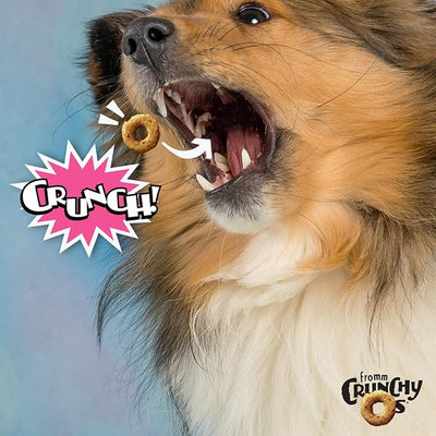 Fromm Crunchy Os Slammon' Smoked Salmon Dog Treats - Premium Crunchy Dog Treats - Salmon Recipe - Pack of (3) 6 oz Bags