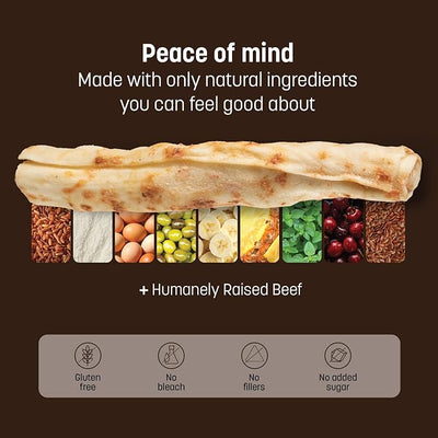 Earth Animal No Hide Stix - Long Lasting Rawhide Free Small Dog Chews Sticks, Beef - 10 Count
