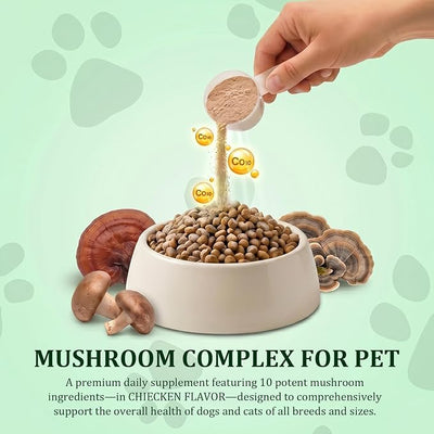 Organic Turkey Tail Mushroom Supplement for Senior Dogs & Cats – 10-in-1 Functional Mushroom Powder with CoQ10 for Immune Support, Digestive Health – Chicken Flavor, Scoop Included