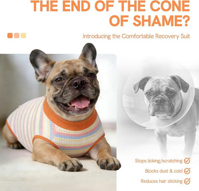 SAWMONG Recovery Suit for Dogs Female Male, Cotton Breathable Dog Onesie After Surgery Spay Neuter, Professional Pet Surgical Suit, Substitute E-Collar Cone (Orange Stripes, 3XL)