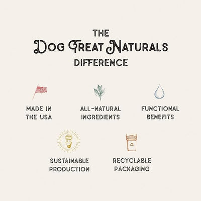 Dog Treat Naturals Chickpea & Ginger Dental Sticks 10oz, 20ct | Dog Dental Chew Treats for Small, Medium, Large Dogs | Freshen Breath, Fight Plaque-Tartar | Natural Teeth Cleaning Treats | USA Made