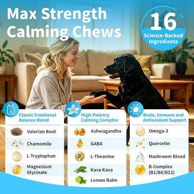 Calming Chews for Dogs - Advanced Calming Treats for Dogs Anxiety, Stress, Separation, & Thunder, Relaxation with Ashwagandha & L-Theanine, Non-Drowsy Alternative to Melatonin, Chicken Flavor, 90Ct