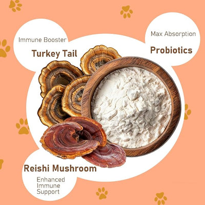 Lumiquor Tu-rk-ey Tail for Dogs, Lumiquor Tu-rk-ey Tail Mushroom Powder, Support Your Mature Dog’s Immunity, Gut, Skin, (1pcs)