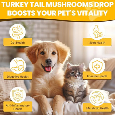 Turkey Tail Mushroom for Dogs - for Yeast & Itchy Skin, Turkey Tail Mushroom for Immune & Digestive, Joint, Energy, 5X Mushrooms for Pet Drop with Turmeric & Probiotic - Vet Formulated, 90 ML