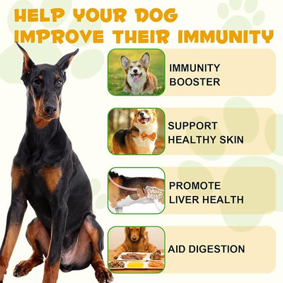 Allergy & Itch Relief Liquid for Dogs, Anti Itch Liquid Supplement Soothes Itchy Skin, Ears, Paws from Allergies, Supports Skin & Coat Health - 60ml