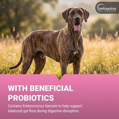 Vetoquinol Pro-Pectalin - Supports Digestive System & Stool Firmness for Dogs & Cats - Chewable Probiotic Supplement for Intestinal Support - For All Breeds - 60 Count