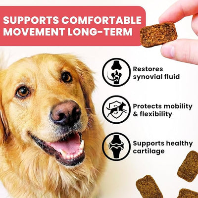 Hip & Joint Supplement for Dogs - Glucosamine Chondroitin MSM & Green Lipped Mussel Soft Chews - Dog Joint Pain & Mobility Support for Senior & Large Breed Dogs, Duck Flavor, 60 Count