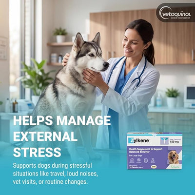Vetoquinol Zylkene - Calming Support for Large Dogs 33–132 lb - Supports Behavior & Occasional Anxiety - Perfect for Boarding, Vet Visits & Celebrations - Non-Drowsy & Lactose-Free - 14 Capsules