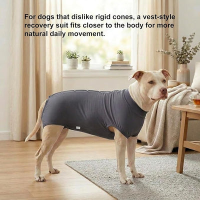 LovinPet Dog Recovery Suit, Snap-Back Post-Op Onesie for Large Dogs, Post-Spay Bodysuit for Female Dogs with Cushioned Belly Panel, Grey, XL