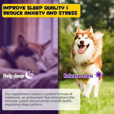 Dog Melatonin, Melatonin for Dogs Calming, Dog Anxiety Relief, Dietary Supplement Liquid, Helps to Support Restful Sleep