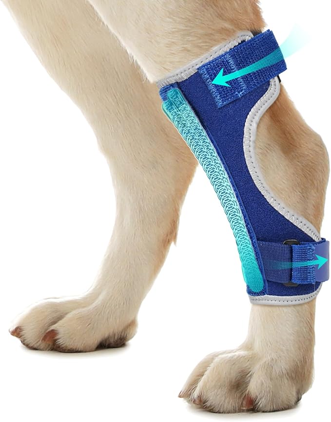 Dog Leg Braces for Back & Front Legs- Dog Hock & Ankle Joint Brace for Weak Back Legs with 2 Metal Strips, Reflective Trim for Sprain, Injury, Arthritis, Wound Recovery,Blue,S