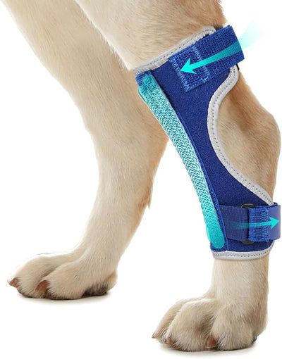 Dog Leg Braces for Back & Front Legs- Dog Hock & Ankle Joint Brace for Weak Back Legs with 2 Metal Strips, Reflective Trim for Sprain, Injury, Arthritis, Wound Recovery,Blue,S
