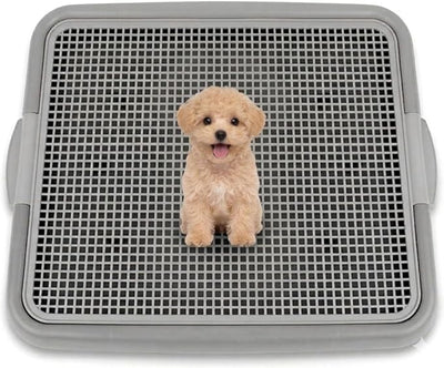 UPIT Puppy Potty Tray with Mesh – Dog Pee Pad Holder for Small Dogs & Puppies, Indoor Dog Potty Training Toilet, Plastic Leak-Proof Dog Potty Tray (Small - 20 x 16 in)