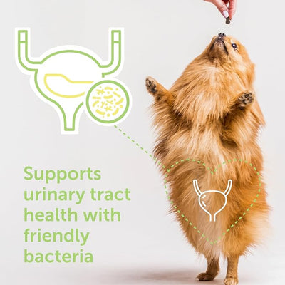 Flo Dog Cranberry Supplement for Dogs by Veterinarian Recommended Solutions - Bladder Control for Dogs - Urinary Tract Support - Cranberry Chews - Immune & Gut Support