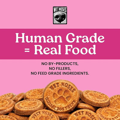 Wet Noses Organic Crunchy Dog Treats Grain Free – All-Natural, Human-Grade, Non-GMO, Healthy Training & Delicious Snacks for Dogs, for All Dog Sizes & Breeds – Berry Blast, 14oz (2 Pack)
