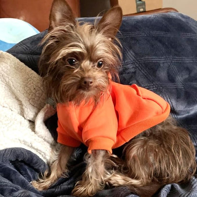 Jecikelon Soft Dog Hoodies for Small Dogs, Fleece Puppy Sweatshirt with Pockets, Warm Winter Cold Weather Coats for Pet Cat, Cute Clothes Puppy Costume (Orange, X-Small)