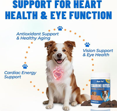 Just Try 18 oz. Taurine Supplement Coq10 for Dogs with L-Carnitine & Coenzyme Q10 Support Dog Heart, Immune and Eyes Health