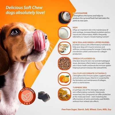 ArthriMAXX Hip & Joint Soft Chews for Dogs – Tasty Liver-Flavored Mobility Support Treats for Daily Comfort and Flexibility