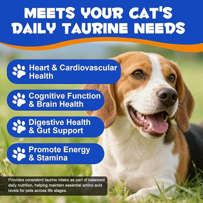 Taurine Powder for Dogs,Pure Taurine Supplement for Heart & Vision Health, Skin & Coat, Boosts Energy & Daily Wellness,7.05 oz/200 Grams