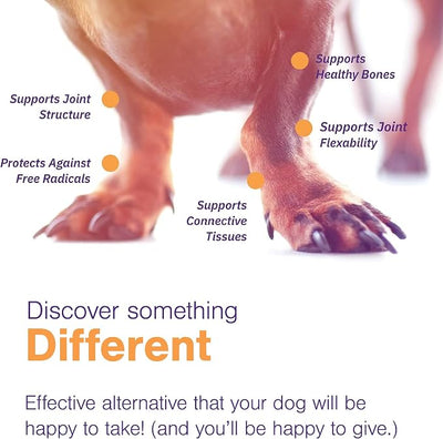 MOVOFLEX Joint Support Supplement for Dogs - Hip and Joint Support - Dog Joint Supplement - Hip and Joint Supplement Dogs - 60 Soft Chews for Small Dogs (By Virbac)
