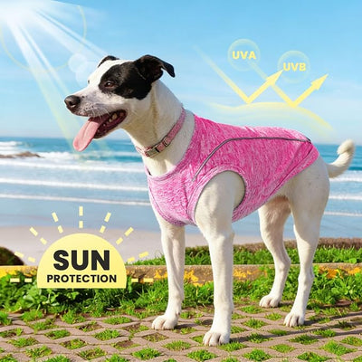 PETCARE Sun Protection Dog Shirts for Small Dogs Quick Dry Soft Stretchy Dog T-Shirts with Reflective Label Tank Top Sleeveless Vest Pet Clothes, Athletic Fabric, Pink, S (Chest 15" Length 11.8")