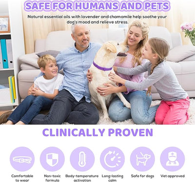 Calming Collar for Dogs 4 Pack - Up to 240 Days Pheromone Dog Collar for Anxiety and Stress Support - Fits Small Medium Large Dogs, Purple