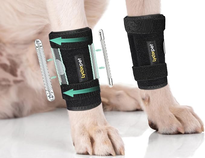 Dog Brace Front Leg Wrist Support, Canine Dog Carpal Brace Splint, Prevents Injuries and Sprains, Protects Carpus Joint Wounds Heals, Helps with Loss of Stability Caused by Arthritis