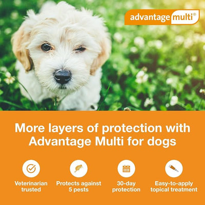 Advantage Multi Topical Solution for Dogs 6 Doses, 3-9 lbs (Green)