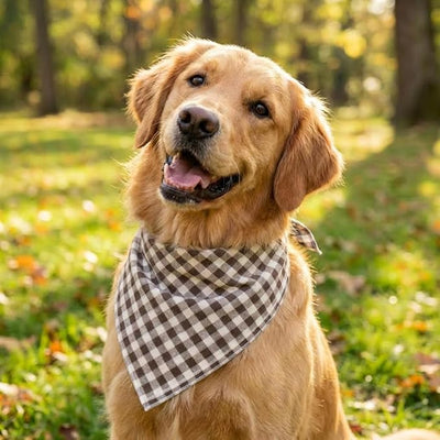 Cotton Linen Dog Bandanas 1 Pack, Plaid Checkered Bandana for Large Dogs, Soft Breathable Classic Dog Apparel & Accessories (Khaki Plaid, Large)