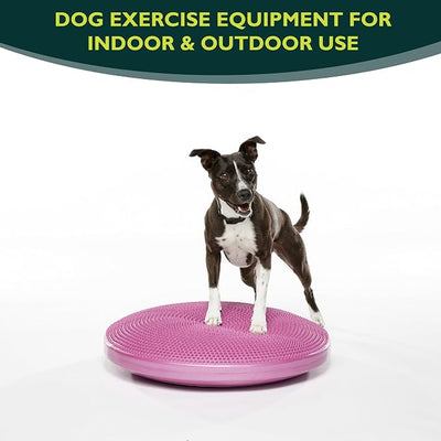 FitPaws® Dog Balance Disc – 22”, Razzleberry | Dog Exercise Equipment | Workout Tool for Strength, Core, Stability & Rehabilitation
