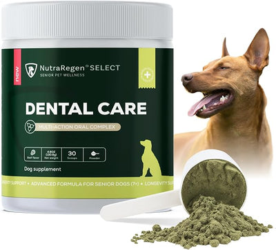 Nutraregen Dog Dental Powder 30 Scoops | Beef Flavored Dog Breath Freshener with Probiotic Blend for Oral & Gum Health | Pet Dental Powder Helps Manage Plaque & Tartar Buildup | 4.6 Oz