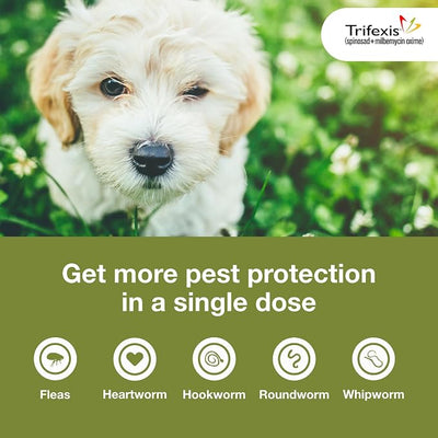 Trifexis Heartworm Prevention | Treats & Controls Flea Infestations + 4 Other Worms | Dogs 5-10 lbs. | 6 Chewables