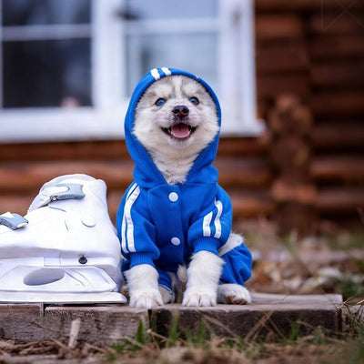 Dog Hoodie Security Clothes 4 Legs Jumpsuit Sweatshirt Hoodies Soft & Warm Dog Outfit Pullover Dog Winter Clothes Sweater for Small Medium Large Dogs Cats (Blue, X-Large)