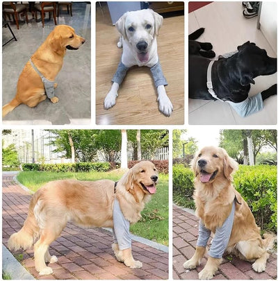 MANON ROSA Dog Elbow Pads – Knee Wrap Front Leg Sleeves for Large Dogs, Wound Protection & Anti-Licking Brace for Injured Legs or Joints (Sleeve Length 9inches, Suit. Wt 55-66lbs, Large, Gray)