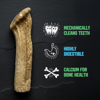 The Chew Must Go On Dog Chew, Long Lasting Healthy Snack for Adult Dogs Over 50 lbs, Made with Real Chicken, Safe Antler Alternative, Highly Digestible, Helps Clean Teeth