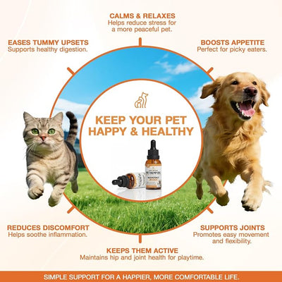 Неmp Oil for Dogs Cats (2-Pack), Organic Dog Anxiеty Relief & Strеss & Pаin Rеlief for Dogs, Supports Hip Joint Health, Rеlaxation & Slеep, Pet Calming Drops