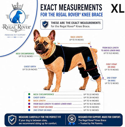 Dog Rear Knee Brace for Small & Medium Breeds, Adjustable Hind Leg Support for ACL/CCL Injury Recovery, Joint Stability, Ligament Protection & Injury Prevention (XL)