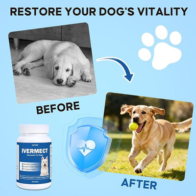 Ivermect Tablets for Dogs, Monthly Dog Wellness Supplement, Heart Health Support for Dogs, Easy to Give Formula, Supports Vitality & Internal Balance, 100 Tablets