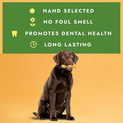 William Hunter Yak Cheese Himalayan Dog Chews - Long Lasting 100% Natural High Protein Dental Dog Chews for Aggressive Chewers (Large 1 Pack)