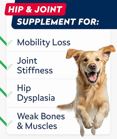 STRELLALAB Hip & Joint Glucosamine Supplement Treats for Dogs - Chondroitin, Omega-3, MSM - Advanced Joint Health Support Chews for Large Breed - Pain Relief - Bacon Flavor - 120 Ct - Made in USA