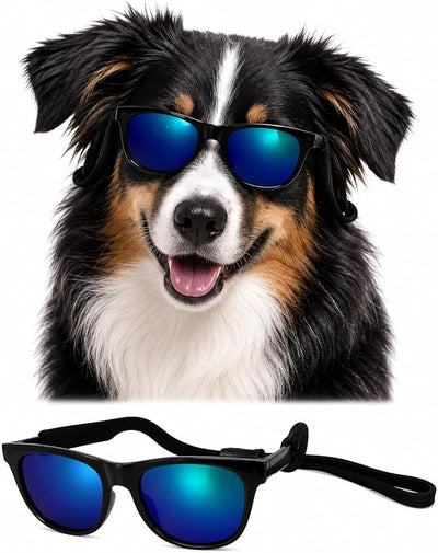 G006 Dog Pet Retro 80s Costume Sunglasses for Small Breed (2-Pack Black+ Black-Emerald Green Mirror)