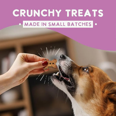 Health Extension Oven-Baked Dog Treats, Peanut Butter Recipe – Gluten & Wheat-Free, Superfood-Infused, Crunchy Biscuits for Puppy Training (6oz)