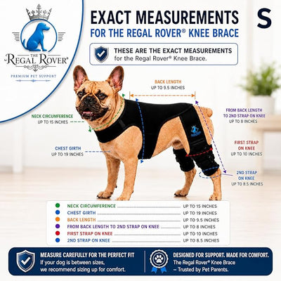 Dog Rear Knee Brace for Small & Medium Breeds, Adjustable Hind Leg Support for ACL/CCL Injury Recovery, Joint Stability, Ligament Protection & Injury Prevention (S)