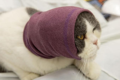 Cat Snood Cover Noise Cancelling Ear Wrap Neck Cat Head Cover Ear Wrap for Baths Pail Lilac S