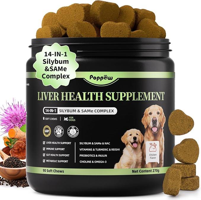 Dog Liver Support Chews - with Milk Thistle (Silybum), Same & NAC - Liver Supplement for Metabolic - Detox - Gut & Immune Health - Chicken Flavor, 90 Soft Chews