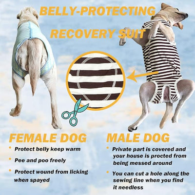 Dog’s Recovery Suit Post Surgery Shirt for Female Male Dog, E-Collar Alternative Wound Protective Clothes (Purple Stripe-XL)