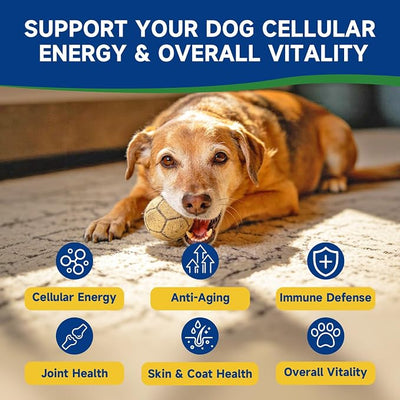 NAD Supplement for Dogs - NAD Soft Chews for Senior Dogs - Energy & Vitality, Anti-Aging, Cognitive Function - NR, Trans-Resveratrol, Quercetin, Glucosamine HCI - 140 Chews, Chicken Flavor
