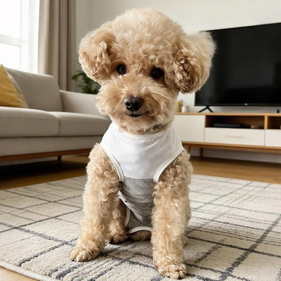 Dog Surgical Suit - Recovery Onesie for Dogs After Surgery, Spayed Female/Male Puppy, Breathable Anti-Lick Clothes, Alternative to Cone(Grey and White-m)